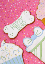 BIRTHDAY PARTY CELEBRATION