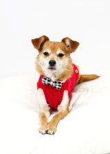 BLACK AND WHITE ORGANIC CHECK COLLAR