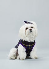 CAMDEN COLLECTION HARNESS AND SKIRT