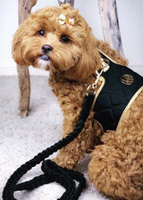 VEGAN LEATHER BRAIDED MIDNIGHT BLACK LEASH