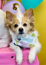 IT'S A PARTY  BANDANA