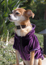 PURPLE VELOUR HOODIE