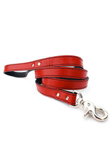 MINIMALIST LEASH IN RENEGADE RED