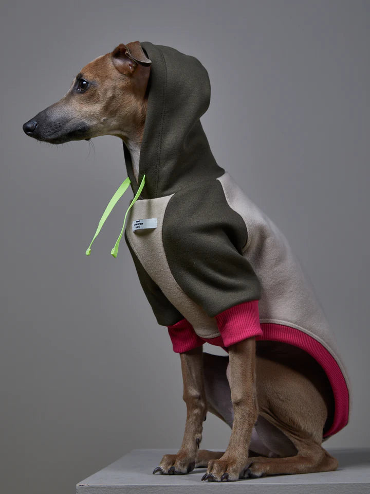 ITALIAN GREYHOUND WHIPPET MULTICOLORED HOODIE