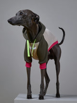 ITALIAN GREYHOUND/WHIPPET MULTICOLORED HOODIE