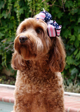 DOTTY STRIPES IN PINK AND BLUE HAIR CLIP