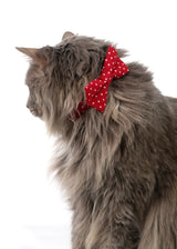 WHITE HEART BOW TIE COLLAR