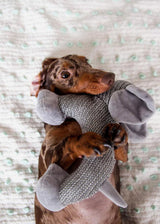 Ellie The Grey Dog Toy