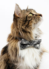 GREY PLAID BOW TIE CAT COLLAR