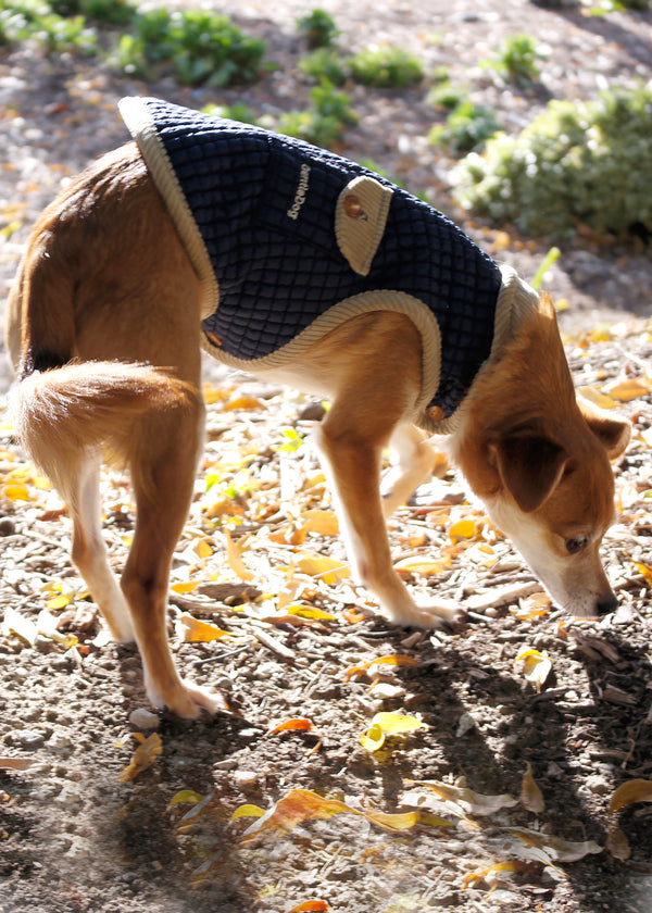 REVERSIBLE QUILTED DOG COAT