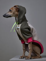 ITALIAN GREYHOUND/WHIPPET MULTICOLORED HOODIE