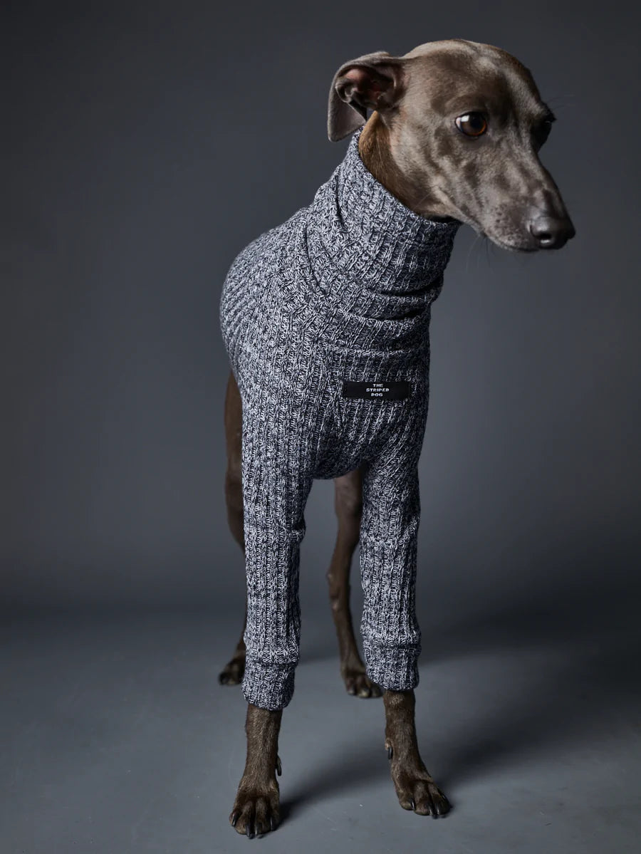 LONGSLEEVE TURTLENECK ITALIAN GREYHOUND WHIPPET