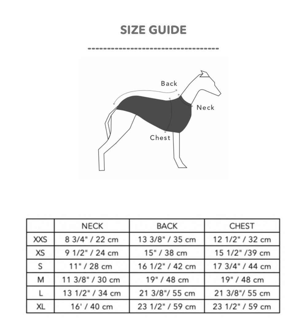 ITALIAN GREYHOUND/WHIPPET MULTICOLORED HOODIE – Pup-A-Lot